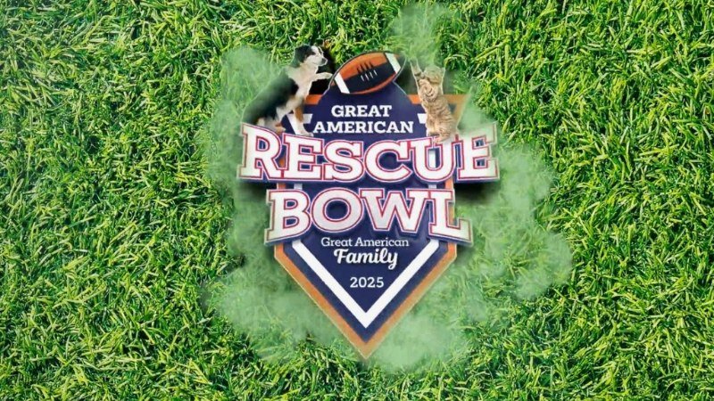 Kitten bowl 2025